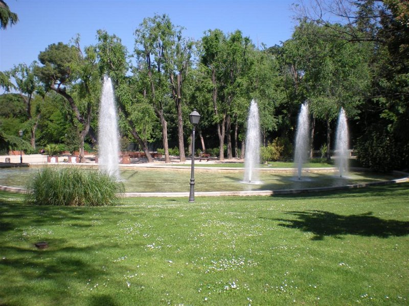 Original image